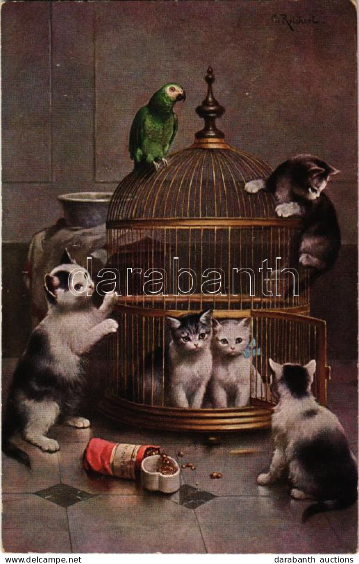 * T2/T3 Cats And Parrot. Raphael Tuck & Sons' "Oilette" Postcard No. 8657. "Playful Cats" S: Reichert (EK) - Unclassified