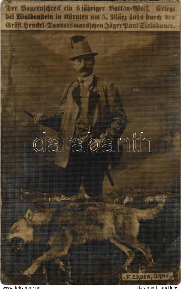 T3/T4 1911 Der Bauernschreck Ein 6 Jähriger Balkan Wolf / Vadász Egy Lelőtt 6 éves Balkáni Farkas / Hunter With A 6 Year - Non Classés