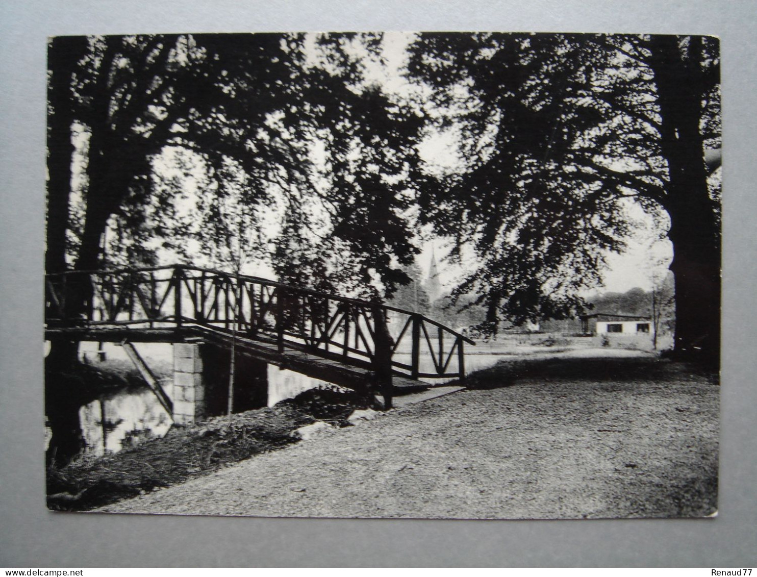 Florennes " Parc Des Ducs ", L'étang Et Sous Bois - Florennes