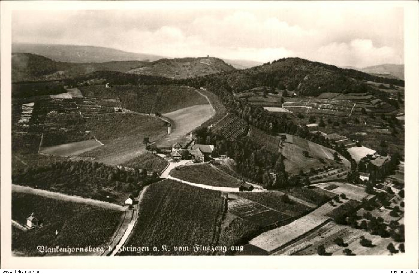 41214032 Ihringen Staatsweingut Blankenhornberg Ihringen - Ihringen