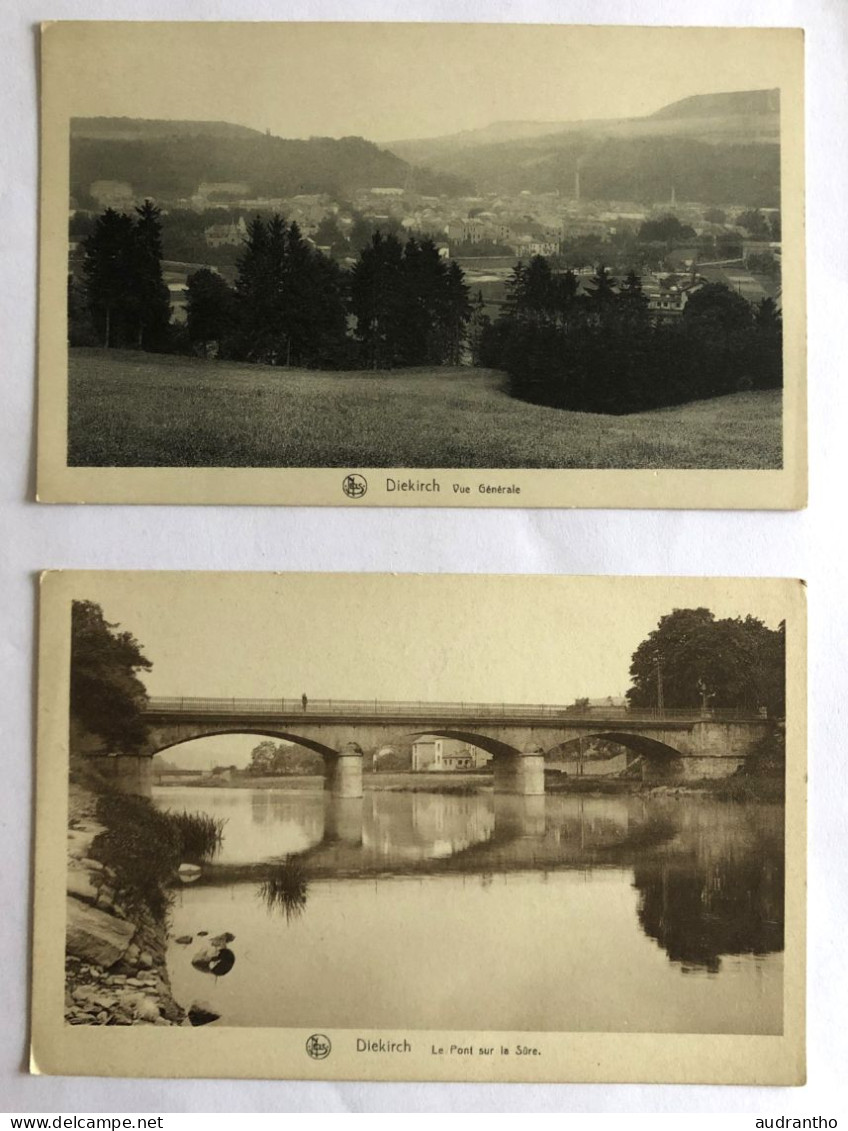 2 CPA LUXEMBOURG - DIEKIRCH - Vue Générale Et Pont Sur La Sûre - Diekirch