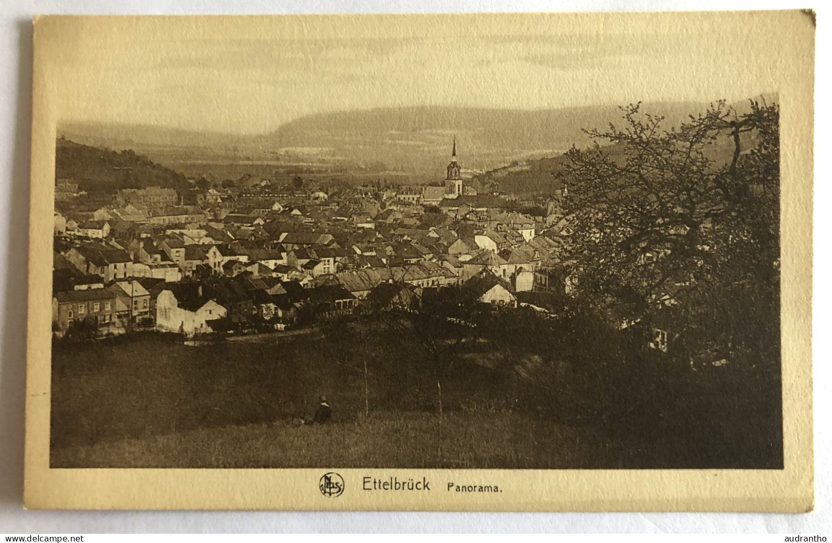 CPA LUXEMBOURG - ETTELBRUCK - Panorama - Ettelbrück