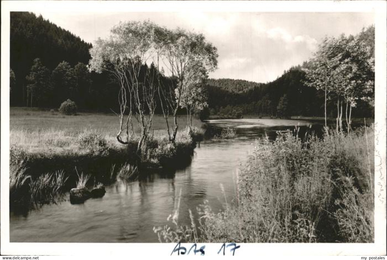 41213025 Altensteig Wuerttemberg Nagoldtal Stausee Zeltplatz Altensteig - Altensteig