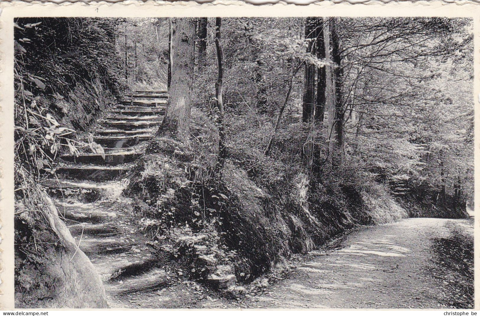 Linkebeek, Escalier Rustique (pk87199) - Linkebeek