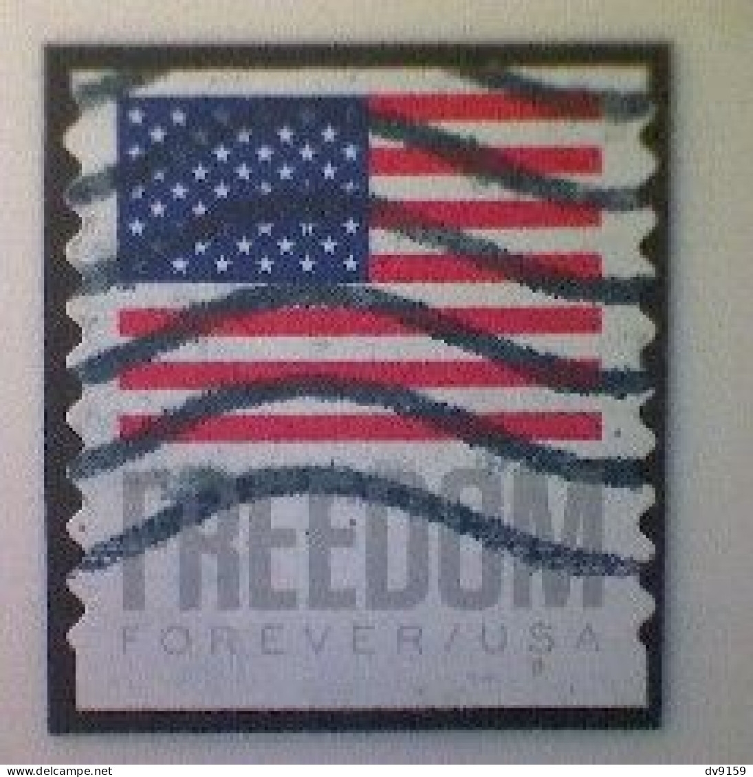 United States, Scott #5788, Used(o) Coil, 2023, Flag Definitive: Freedom Flag, (63¢) Forever - Gebruikt