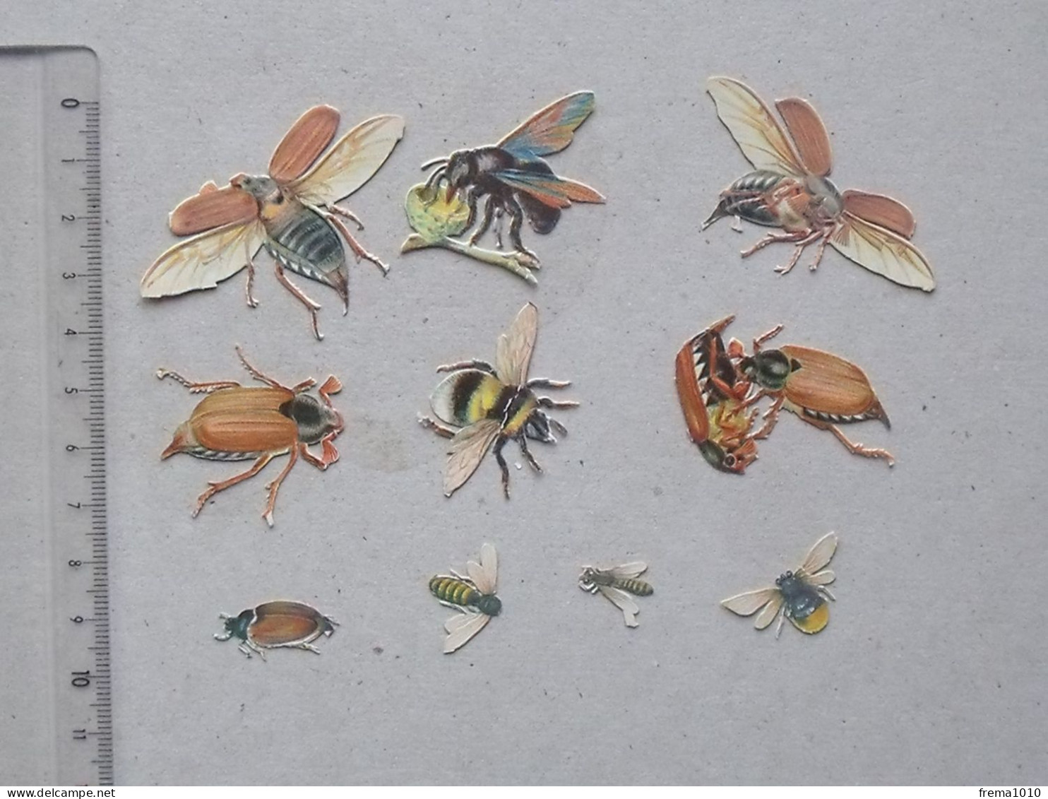 CHROMO DECOUPIS Mini-format: INSECTE Lot 10 Différents Même Thème - Entomologiste "les 6 Pattes" - Animales
