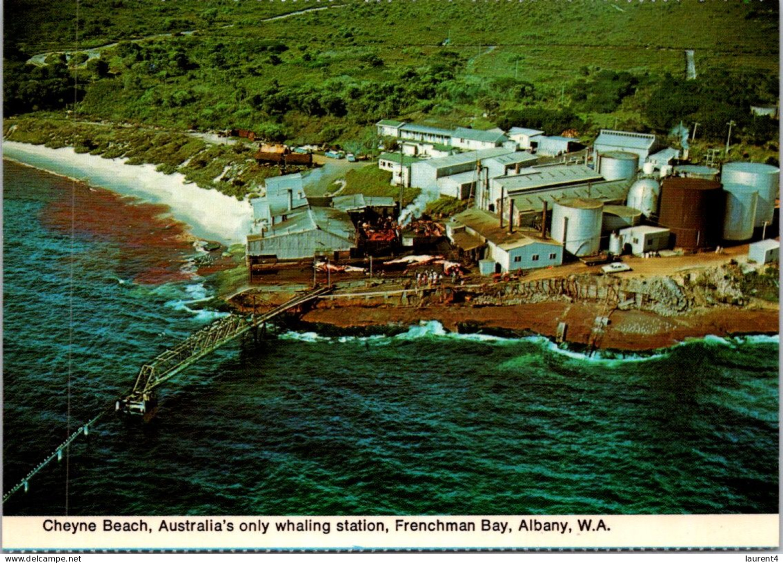 9-2-2024 (3 X 41)  Australia - WA - (Frenchman Bay) Cheyne Whaling Station (2 Postcards) - Albany