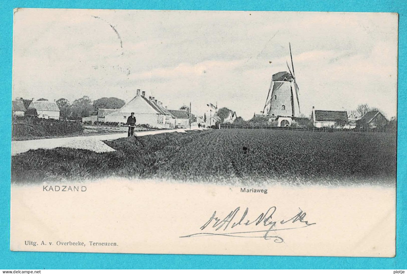 * Cadzand - Kadzand (Zeeland - Nederland) * (Uitg A. V. Overbeeke) Mariaweg, Moulin, Molen, Mill, Muhle, TOP, Unique - Cadzand