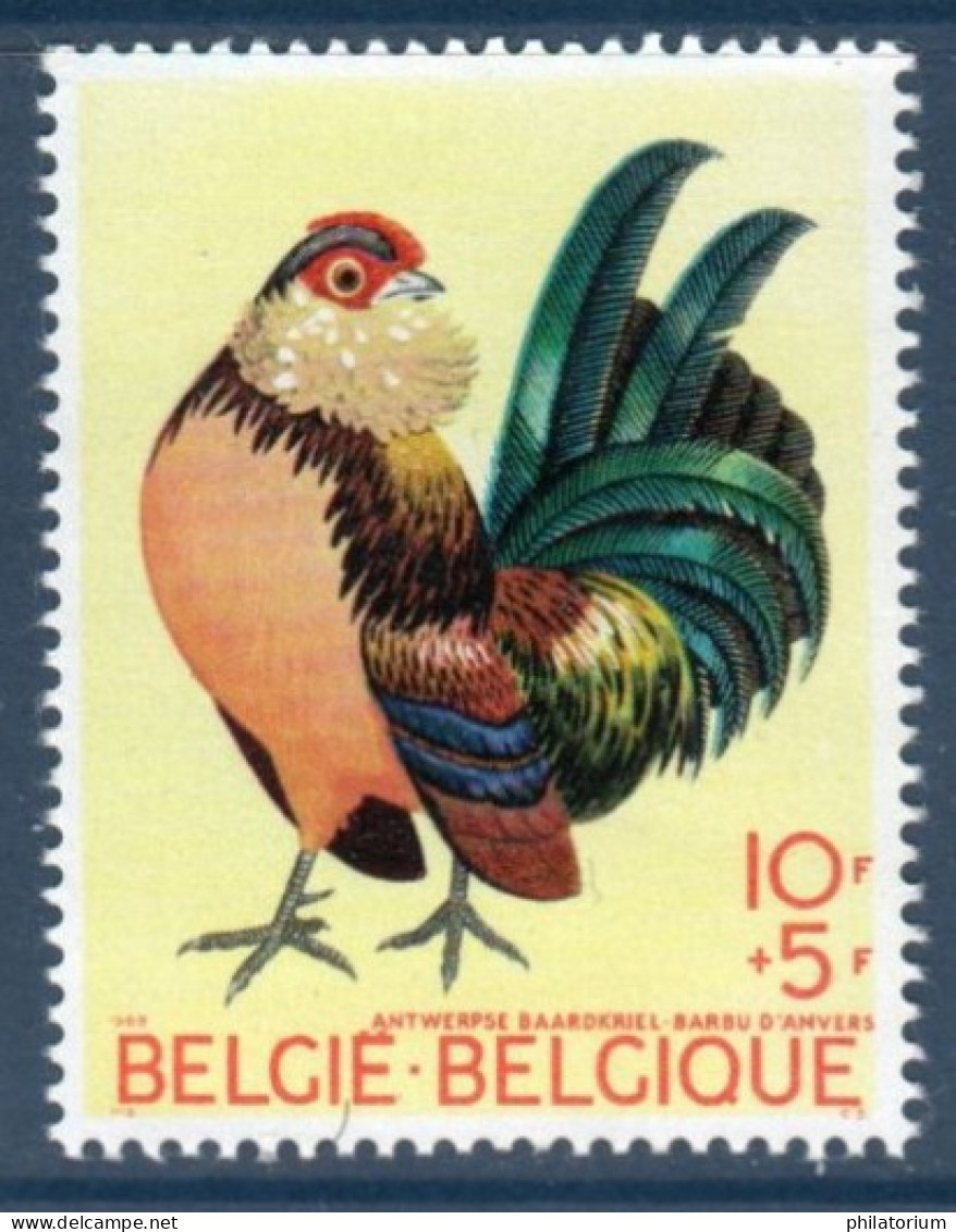 Belgique België, Yv 1513, MI 1572, SG 2135, Coq Barbu D'Anvers , - Gallinacées & Faisans
