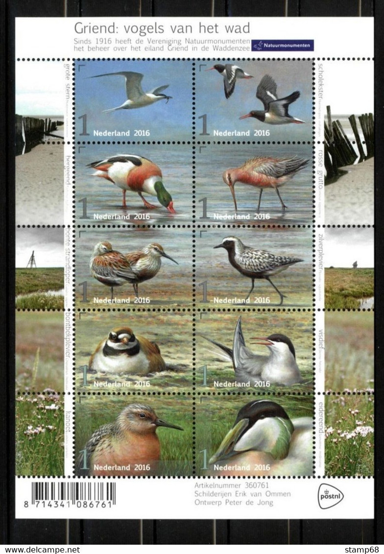 Nederland NVPH 3401-10 V3401-10 Vel Griend Vogels Van Het Wad 2016 Postfris MNH Netherlands Birds Fauna - Ongebruikt