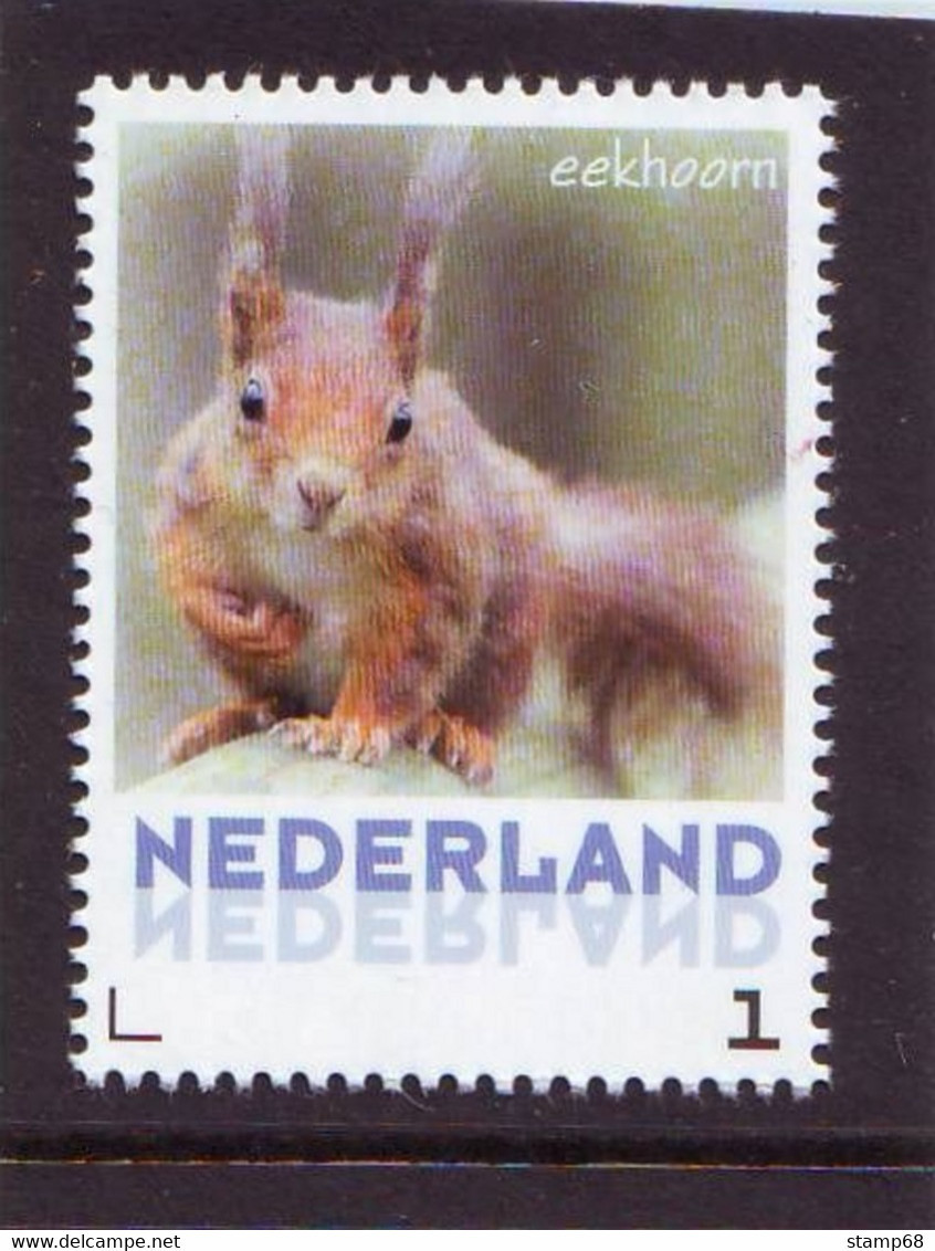 Nederland NVPH 3013 Eekhoorn  Squirrel 2013 Postfris MNH Netherlands - Ongebruikt