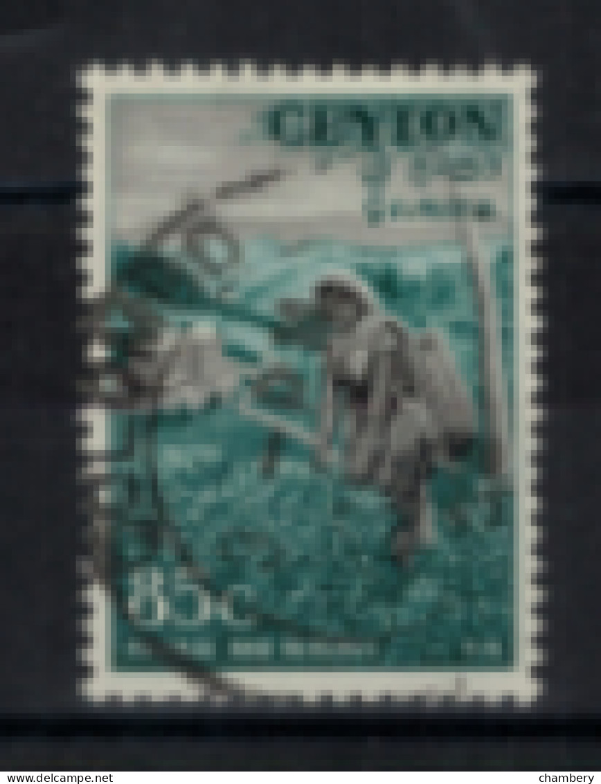Ceylan - "Cueillette De Thé" - Oblitéré N° 299 De 1954 - Sri Lanka (Ceylan) (1948-...)