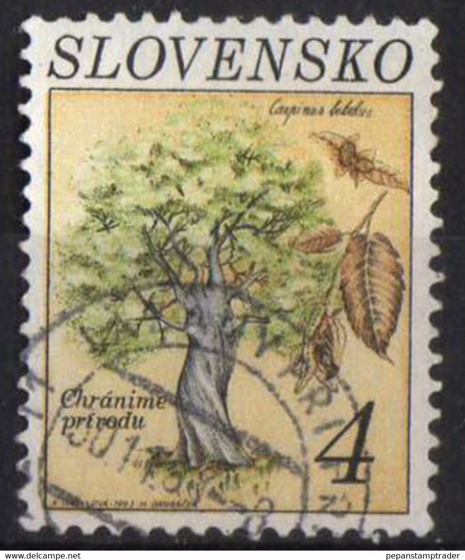 Slovakia - #161 - Used - Gebraucht