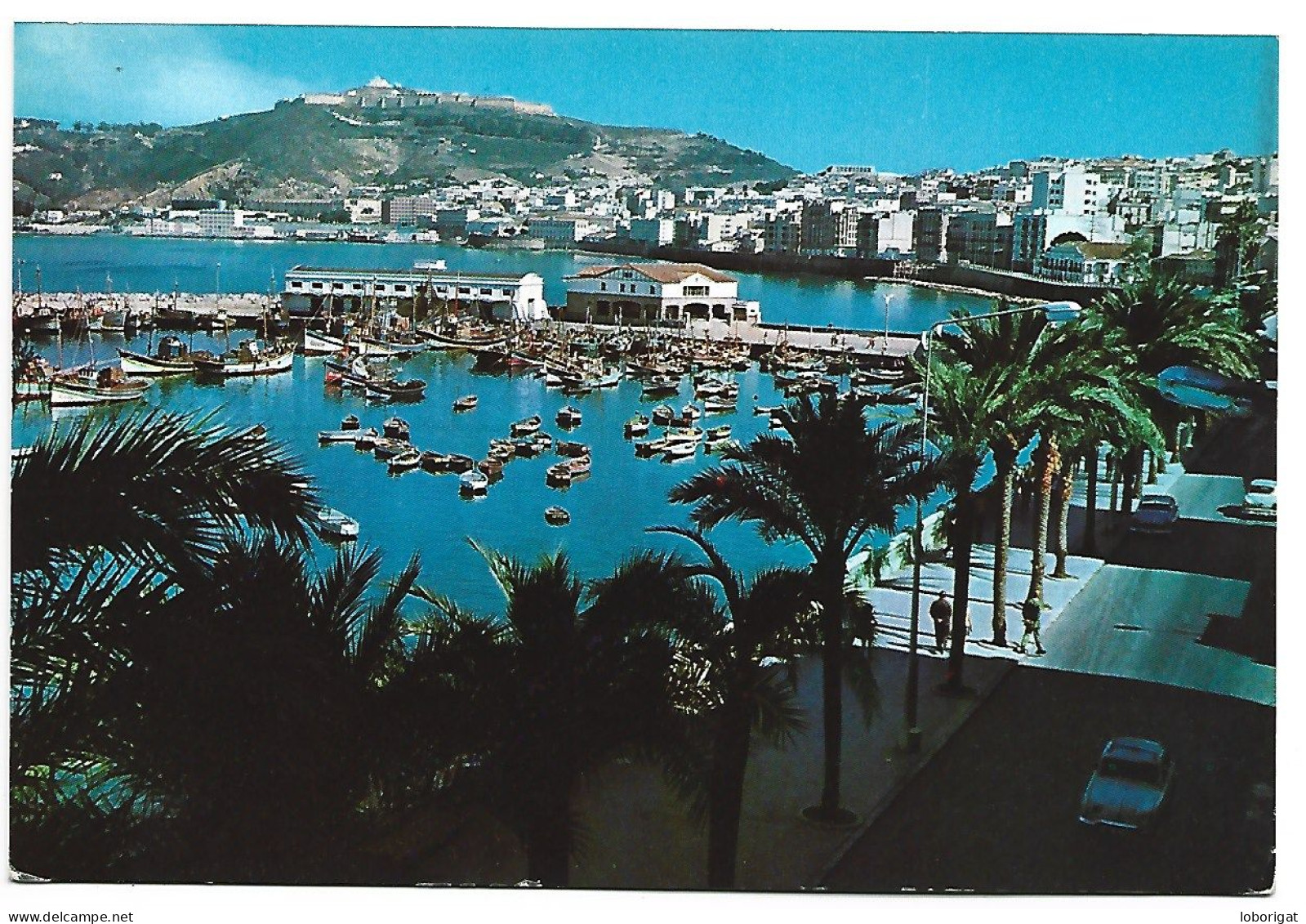 EL MUELLE DES PESCADORES DESDE EL PASEO DE LAS PALMERAS.- CEUTA - ( ESPAÑA ) - Ceuta