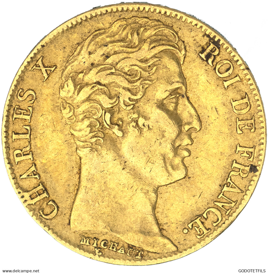 Charles X-20 Francs 1828 Nantes - 20 Francs (oro)