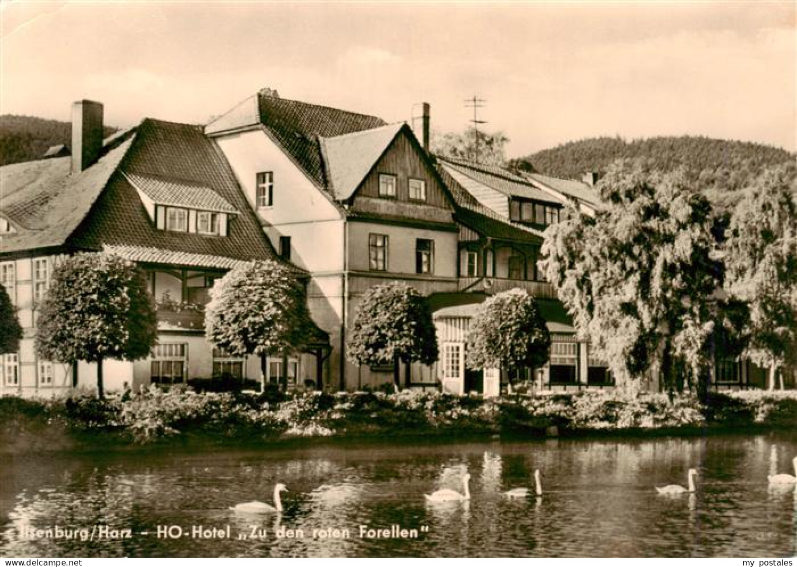 73956204 Ilsenburg_Harz HO-Hotel Zu Den Roten Forellen Schwaene - Ilsenburg