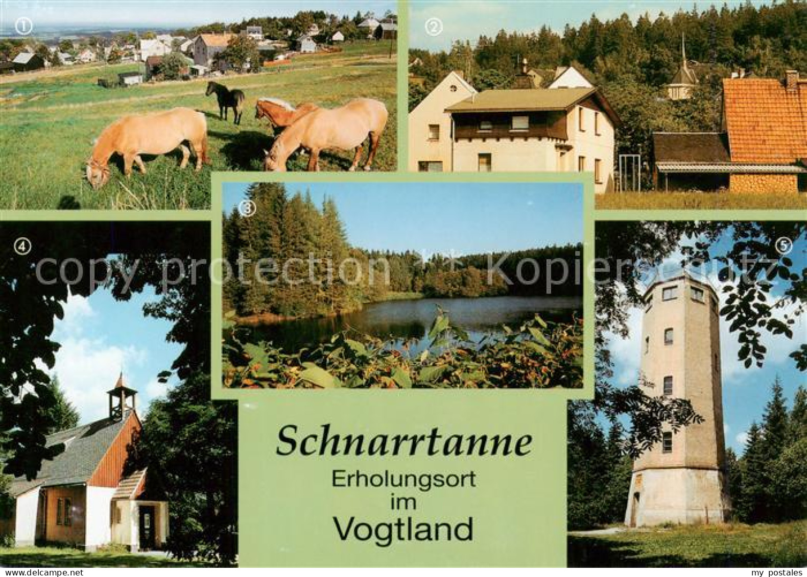 73840851 Schnarrtanne Und Umgebung Erholungsgebiet Im Vogtland Kirche Stausee Ka - Auerbach (Vogtland)