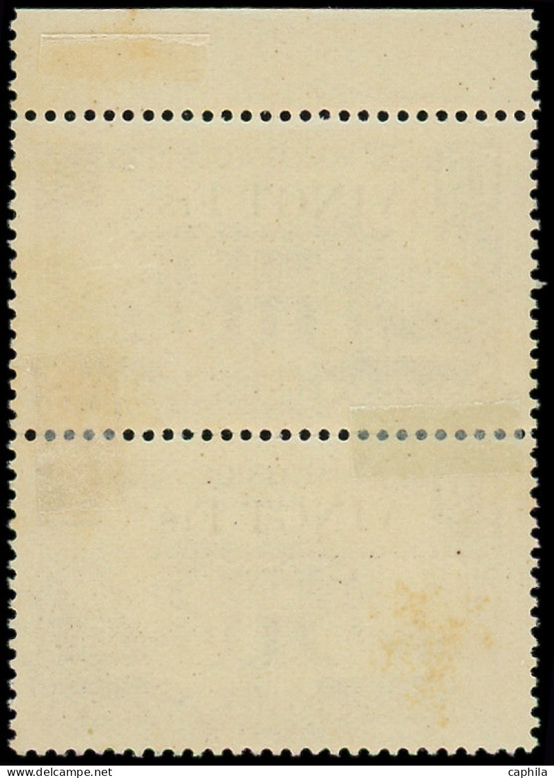 * MARTINIQUE - Poste - 225, En Paire Dont 1 Ex "Fis" Au Lieu De "Frs" (légère Tache Jaune) - Unused Stamps