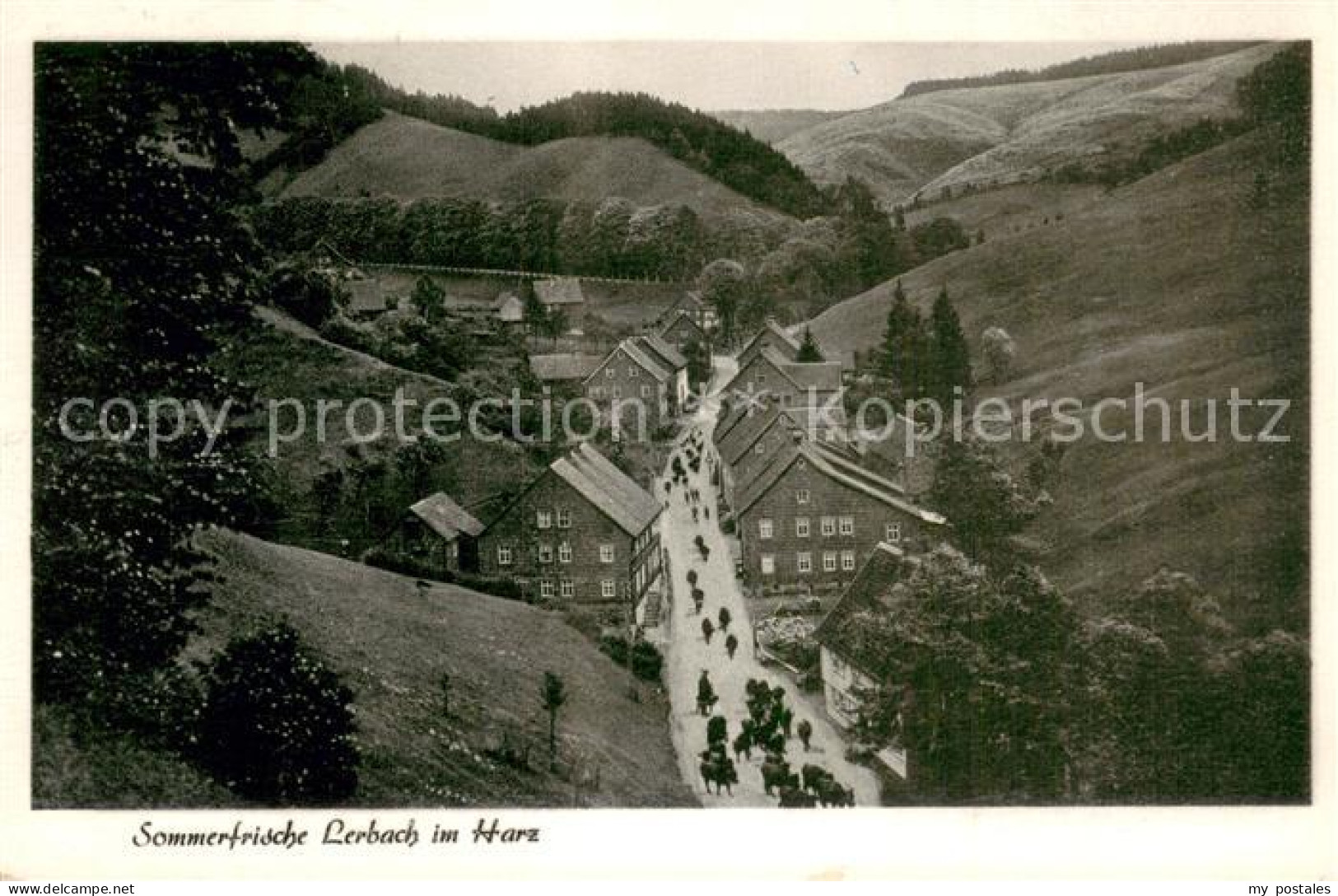 73768781 Lerbach Harz Panorama Lerbach Harz - Osterode