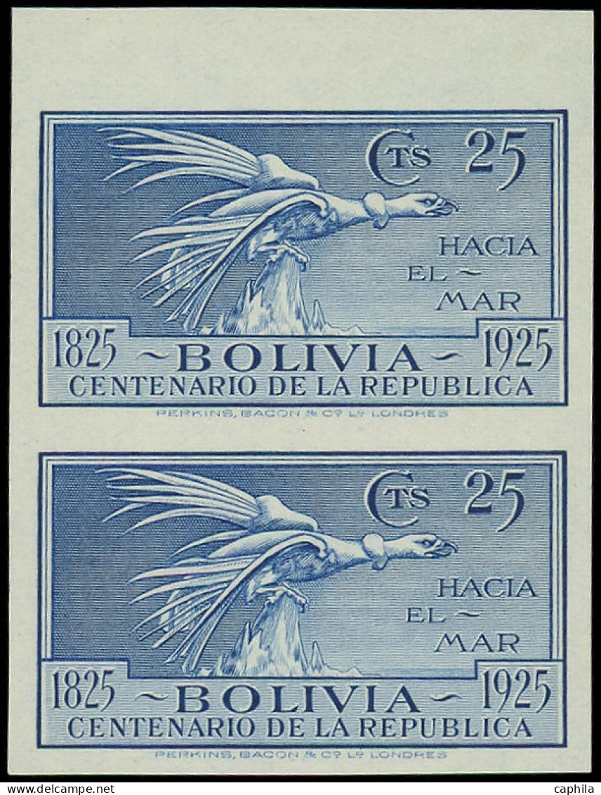 (*) BOLIVIE - Poste - 135, Paire Non Dentelée, Bdf (tirage 50): 25c. Condor Bleu - Bolivie