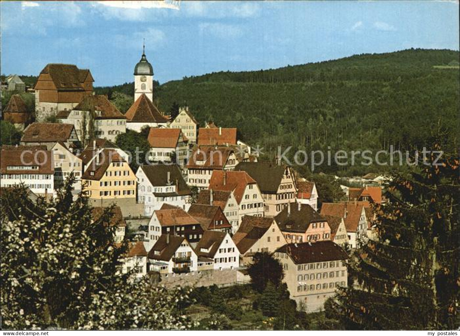 72606686 Altensteig Schwarzwald  Altensteig - Altensteig