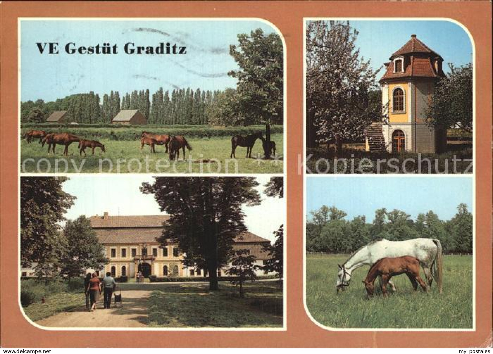 72585639 Graditz VE Gestuet Pferde Graditz - Torgau