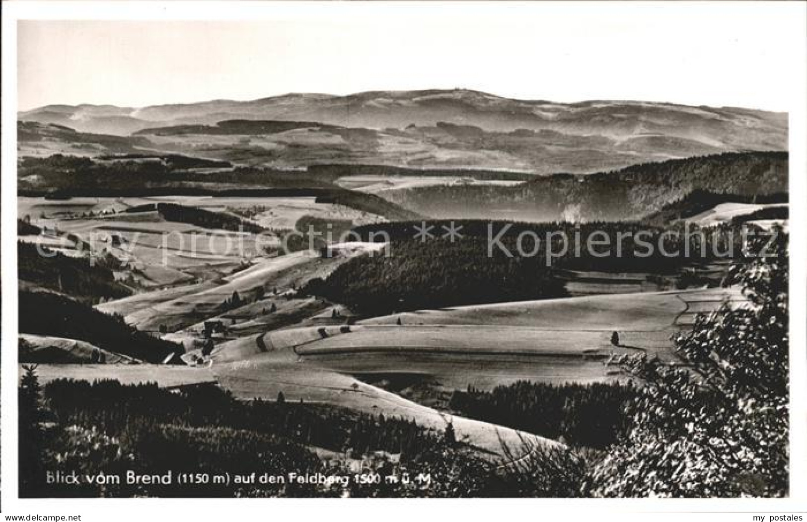 41764039 Furtwangen Panorama Blick Vom Brend Auf Den Feldberg Furtwangen - Furtwangen