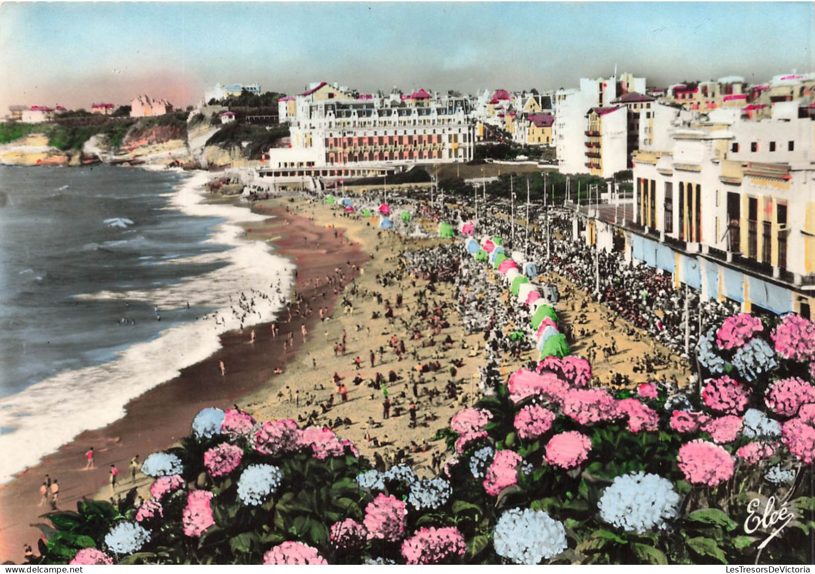 FRANCE - Biarritz - Les Hortensias  - La Grande Plage à L'heure Du Bain - Colorisé - Animé - Carte Postale Ancienne - Biarritz