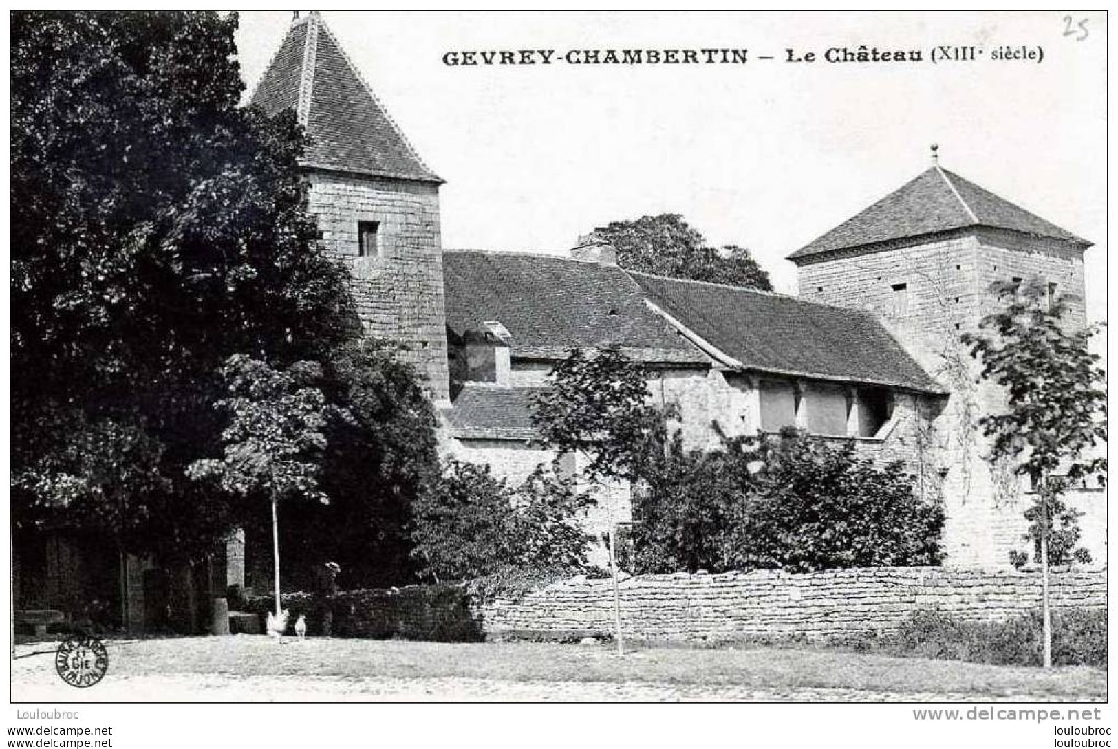 21 GEVREY CHAMBERTIN CHATEAU - Gevrey Chambertin