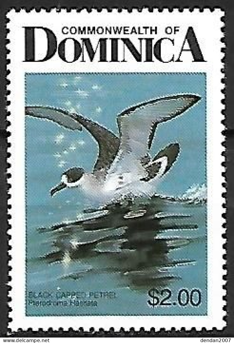 Dominica -  MNH ** 1987 :    Black-capped Petrel  -  Pterodroma Hasitata - Albatros