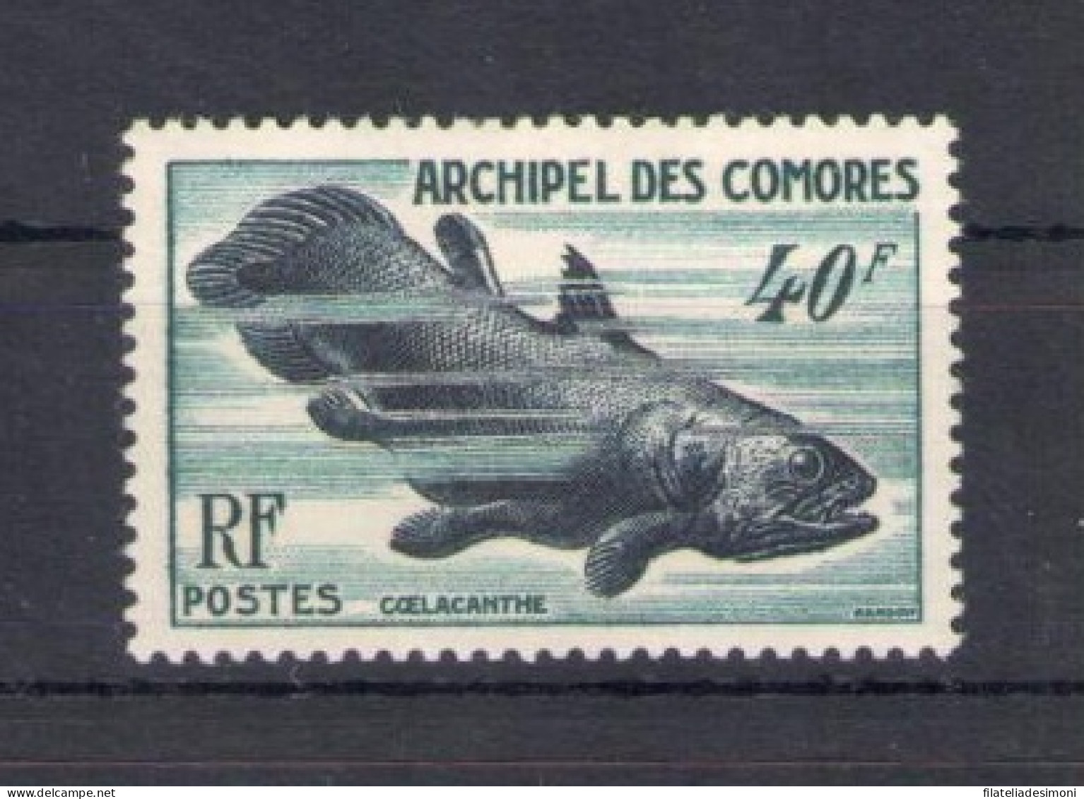 1954 Comores - Pesci - Yvert N. 13 MNH** - Sonstige & Ohne Zuordnung