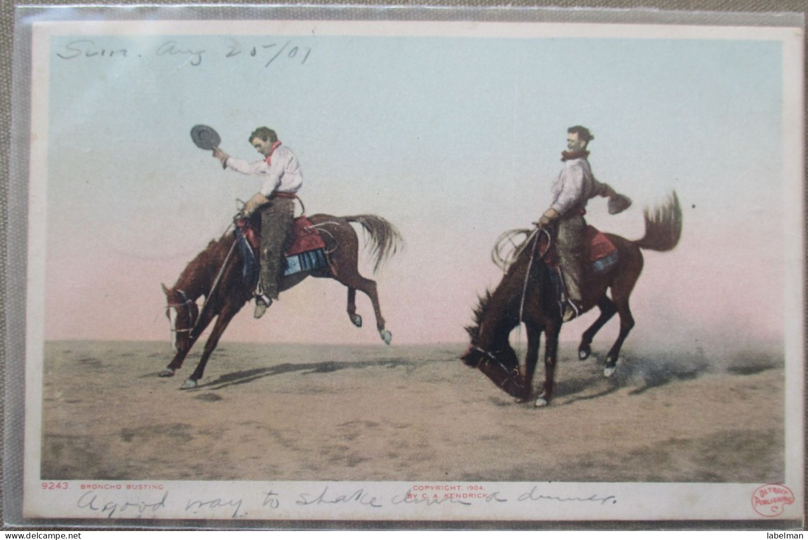USA FAR WEST COWBOY 1907 HORSE DESERT CATTLE BRONCHO BUSTING POSTCARD CARTE POSTALE POSTKARTE CARTOLINA ANSICHTSKARTE - Long Beach