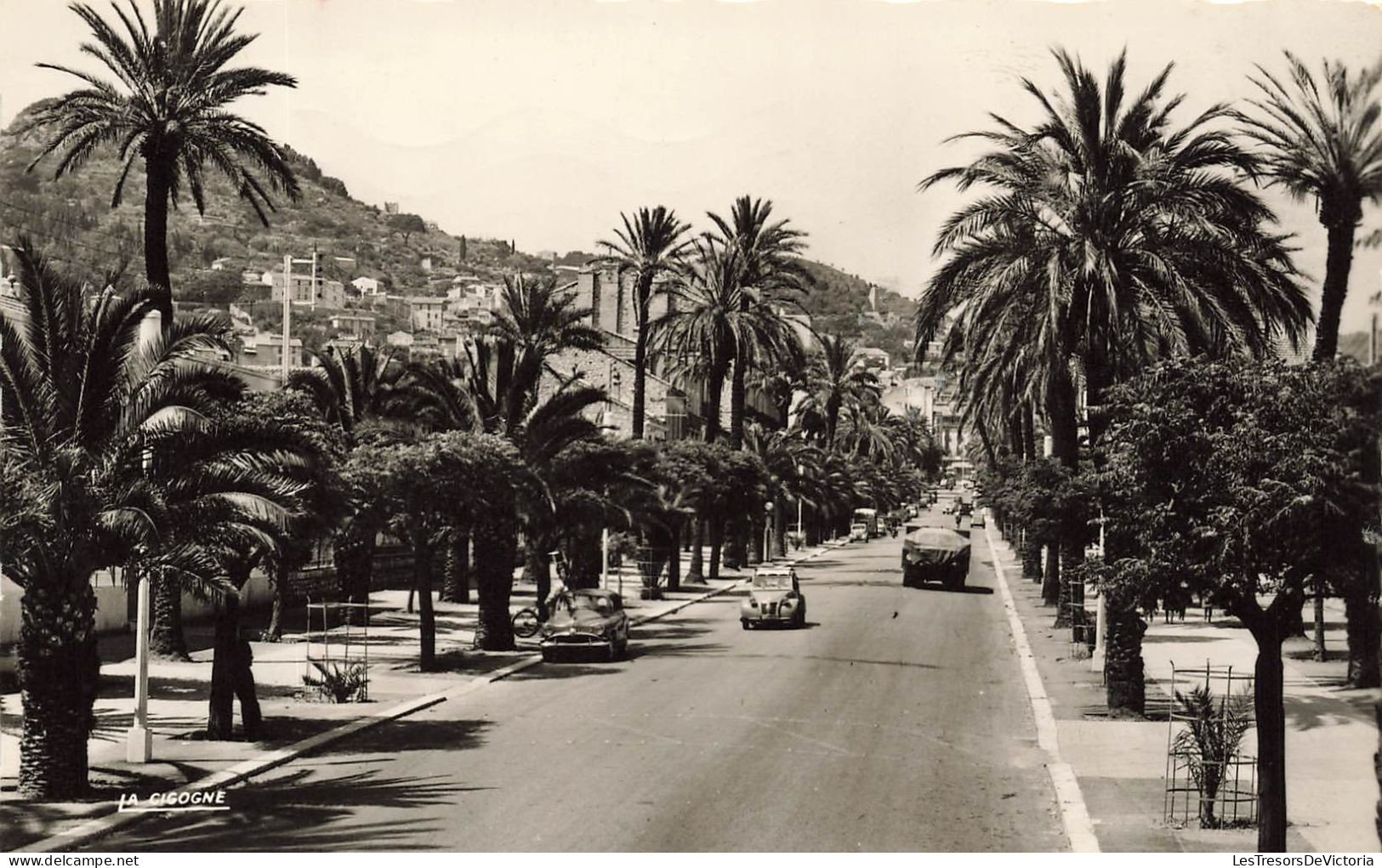 FRANCE - Hyeres Les Palmiers - Vue Sur L'avenue Gambetta - Carte Postale Ancienne - Hyeres