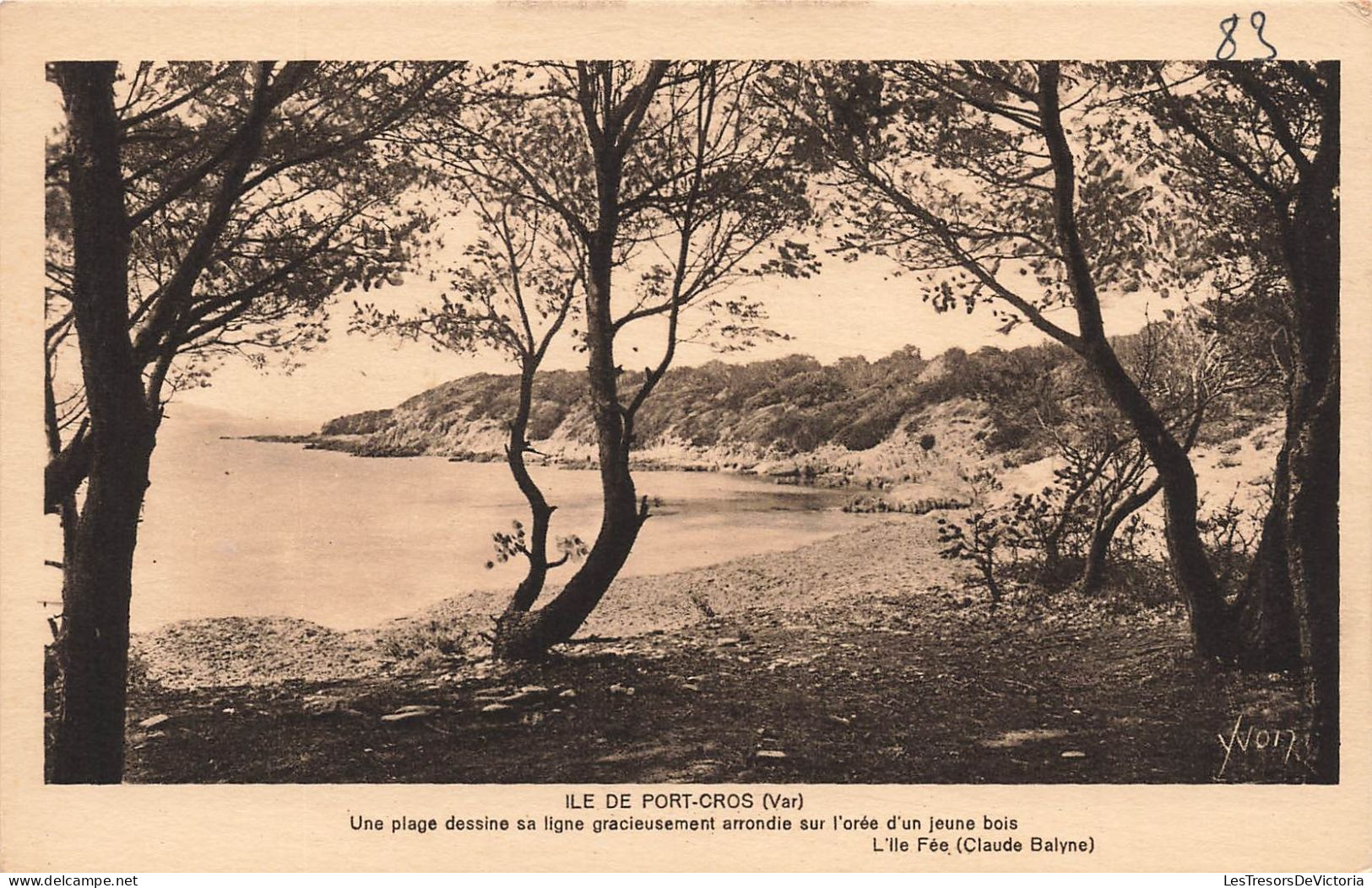 FRANCE - Ile De Port Gros(Var) - Vue Générale Du Parc De L'hostelleire Provençale - Carte Postale Ancienne - Toulon