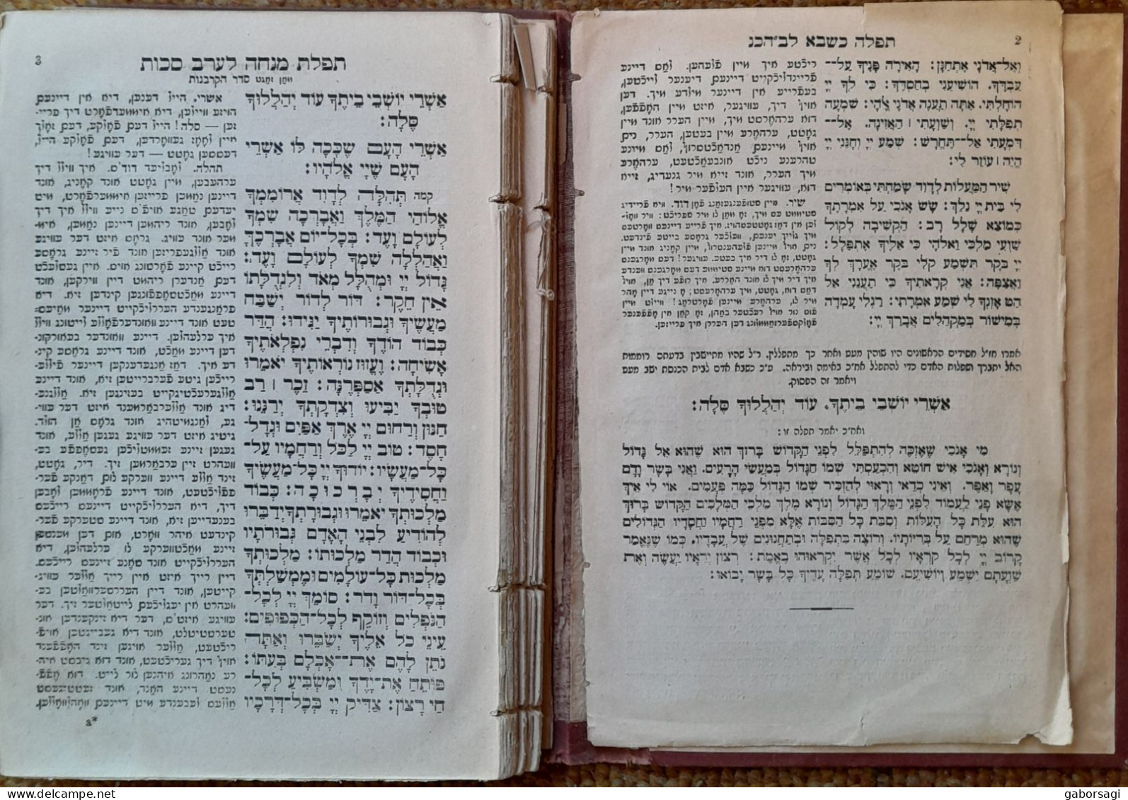 Hebrew Prayer Book -Sukkot 1880-81 - Livres Anciens