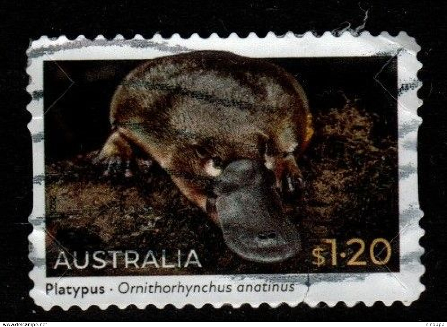 Australia Cat 4157 2022 Fauna $ 1.20 Platypust,used - Gebruikt