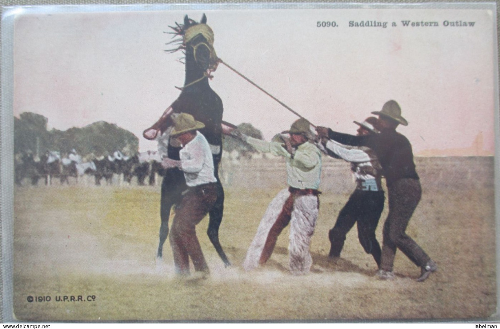 USA FAR WEST SADDLING HORSE COWBOY RANCH CATTLE KARTE CARD POSTCARD CARTOLINA CARTE POSTALE POSTKARTE ANSICHTSKARTE - Long Beach