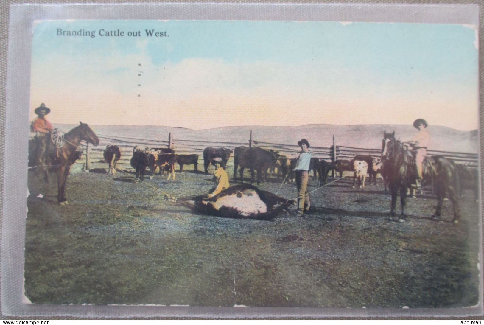 USA FAR WEST BRANDING HORSE COWBOY RANCH CATTLE KARTE CARD POSTCARD CARTOLINA CARTE POSTALE POSTKARTE ANSICHTSKARTE - Long Beach