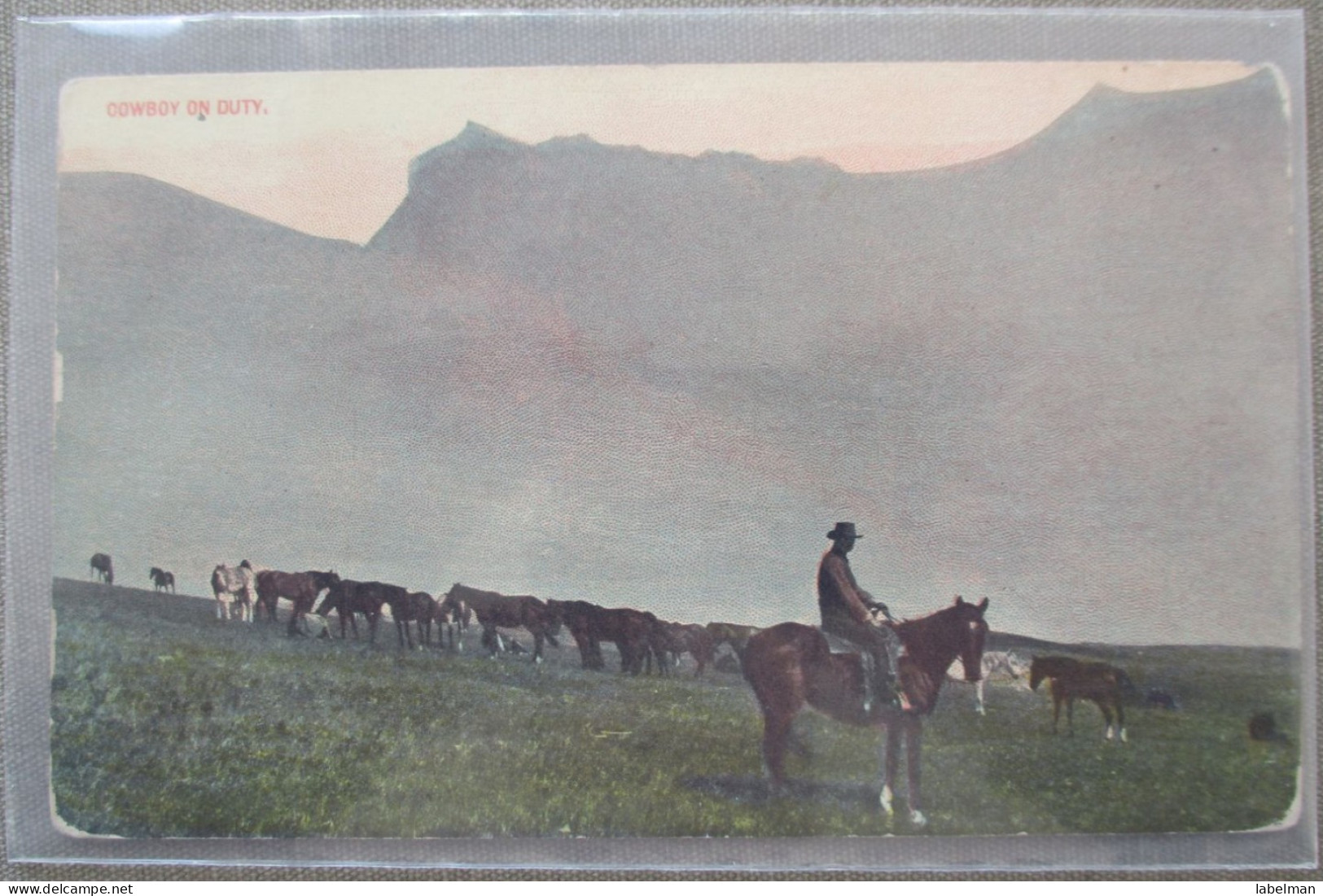 USA FAR WEST BRANDING HORSE COWBOY RANCH CATTLE KARTE CARD POSTCARD CARTOLINA CARTE POSTALE POSTKARTE ANSICHTSKARTE - Long Beach