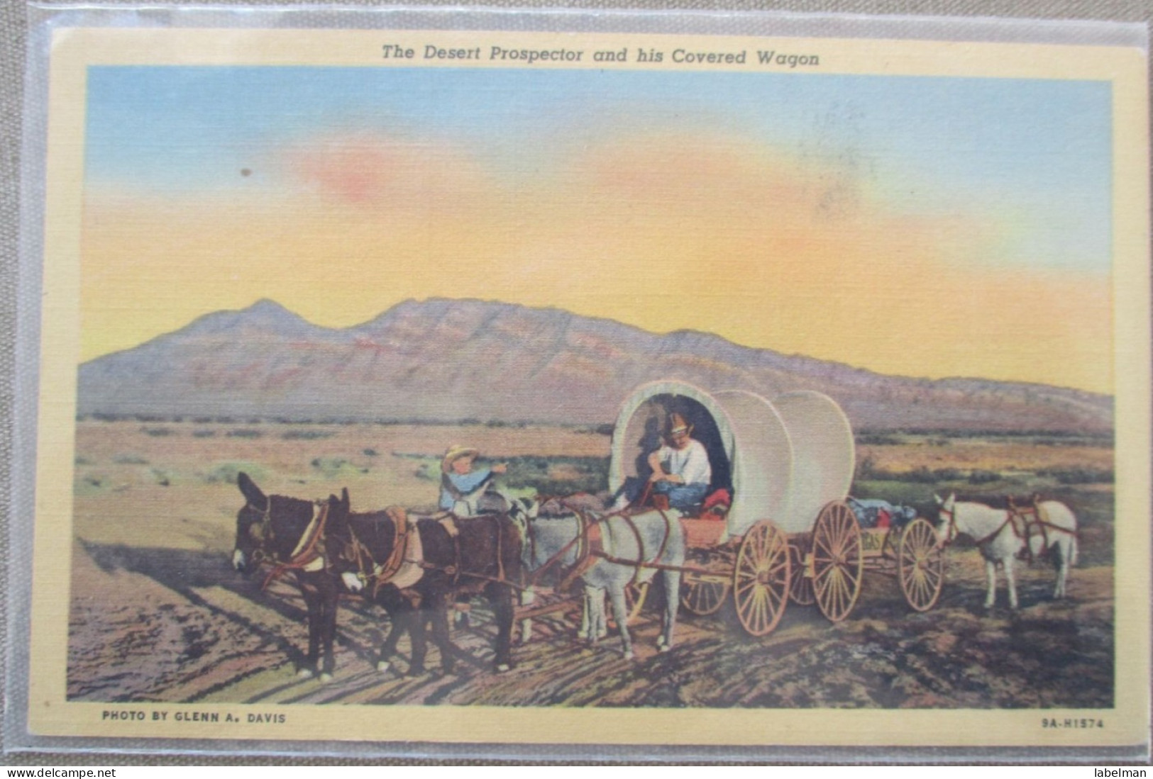 USA FAR WEST SETTLERS WAGON COWBOY RANCH CATTLE KARTE CARD POSTCARD CARTOLINA CARTE POSTALE POSTKARTE ANSICHTSKARTE - Long Beach