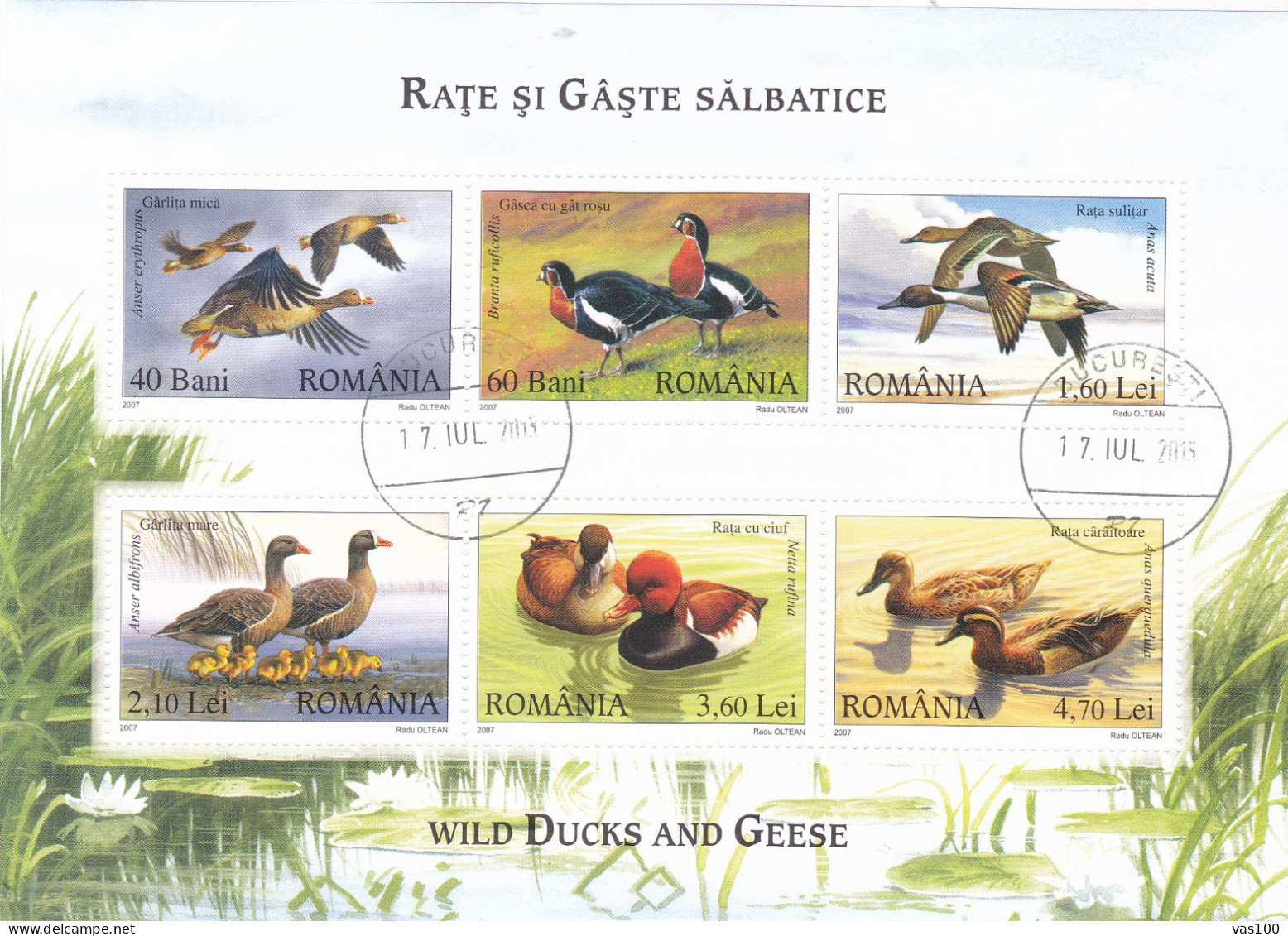 Romania 2007 Ducks & Goose 6v M/s, Used, Nature - Birds - Ducks - Oblitérés