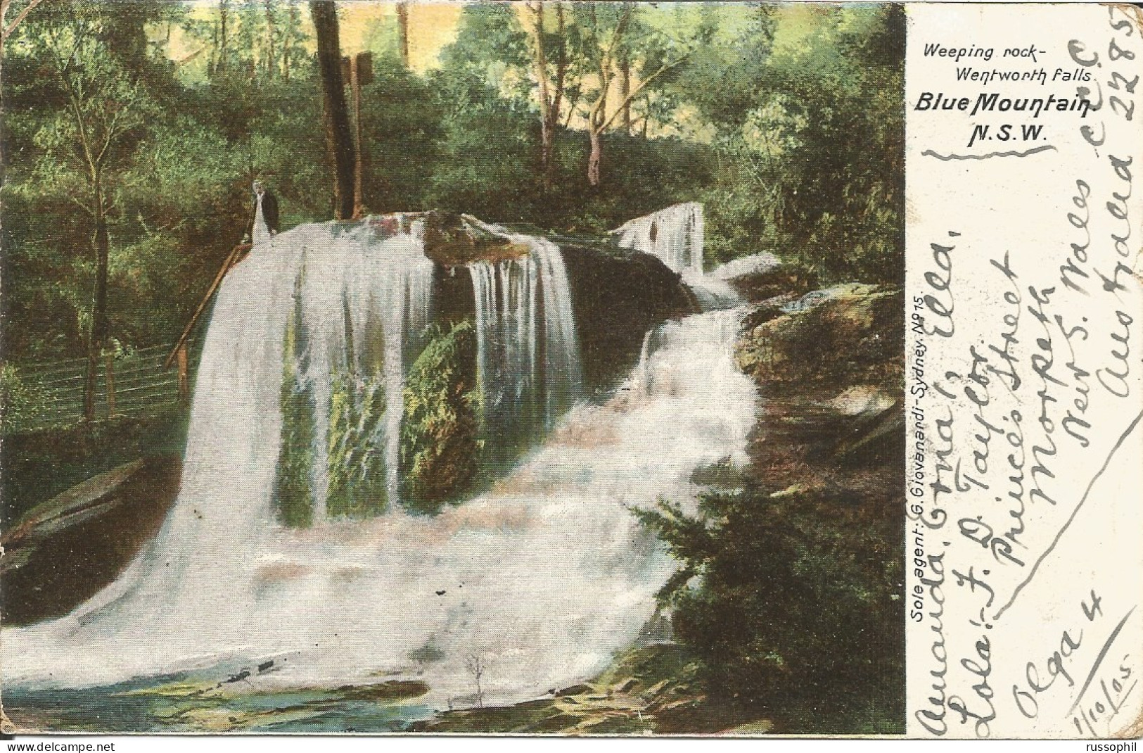 AUSTRALIA NSW - FRANKED PC (VIEW OF BLUE MOUNTAIN) FROM WARKWORTH TO ITALY - BARRED NUMERAL CANCEL 401 - 1905 - Briefe U. Dokumente