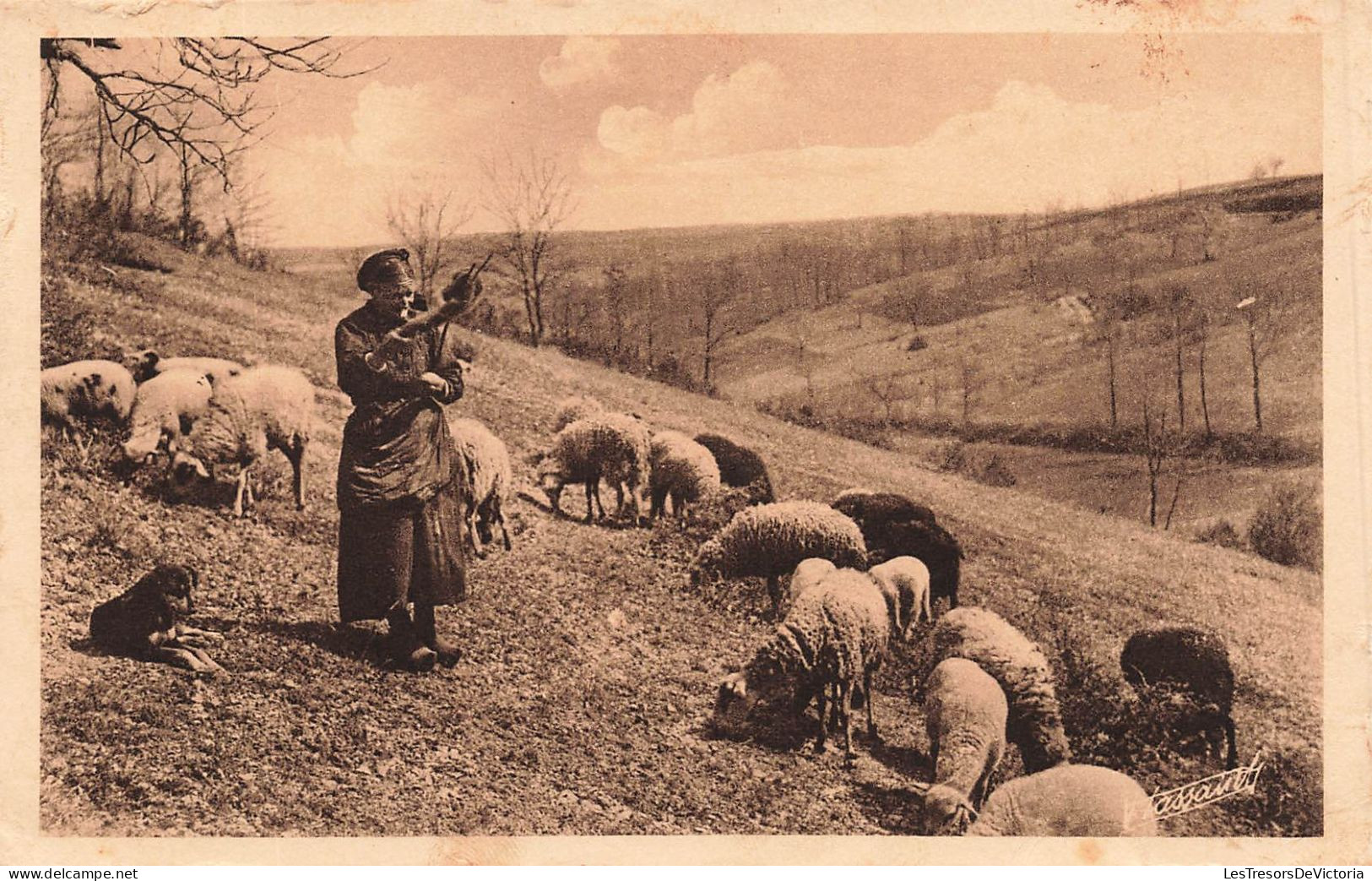 FRANCE - En Périgord - Une Vieille Bergère Avec Ses Troupes De Mouton - Carte Postale Ancienne - Other & Unclassified