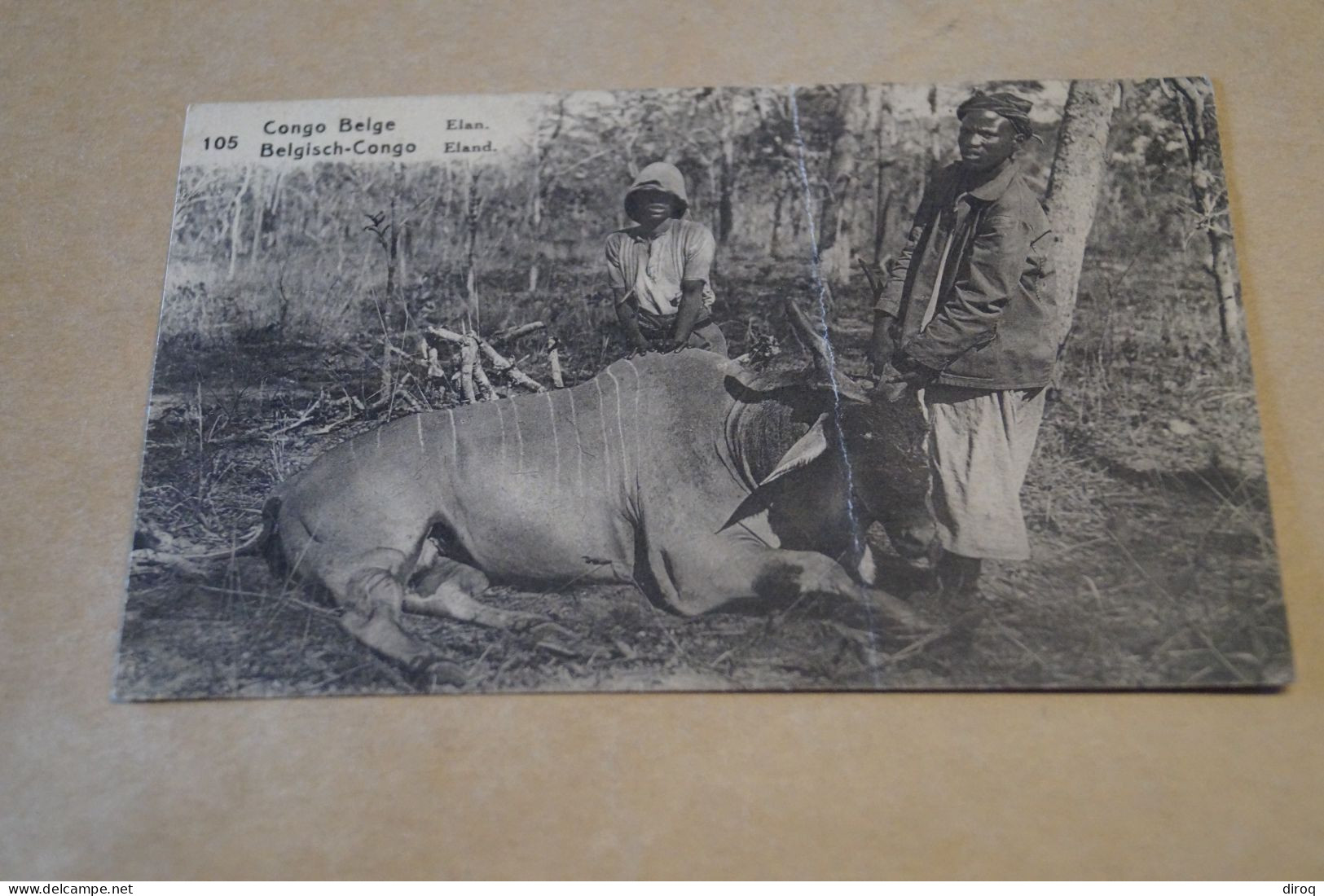 Congo Belge,oblitération B.C.S. Reçu,bel Envoi Sur Carte 1922,pour Collection - Briefe U. Dokumente