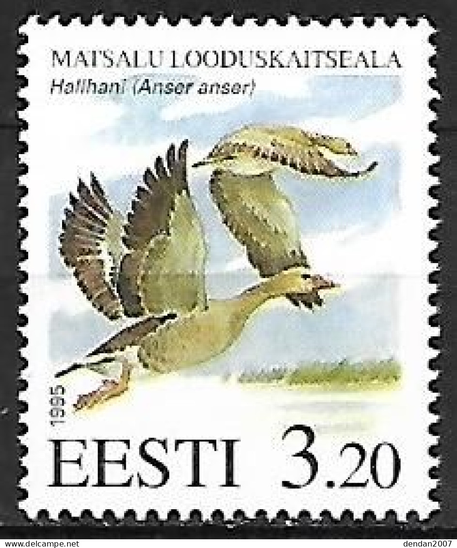 Estonia - MNH ** 1995 :  Greylag Goose   -  Anser Anser - Gänsevögel