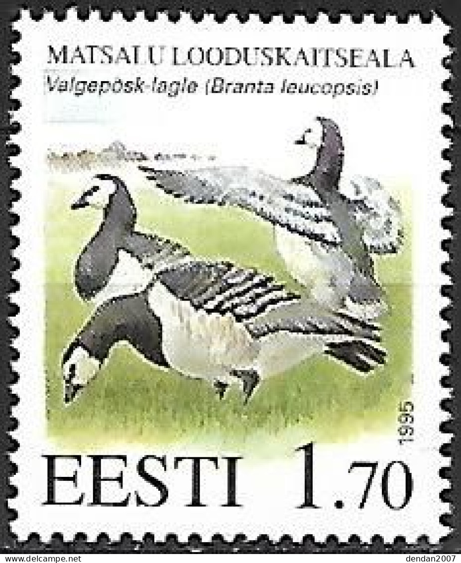 Estonia - MNH ** 1995 :   Barnacle Goose  -  Branta Leucopsis - Geese