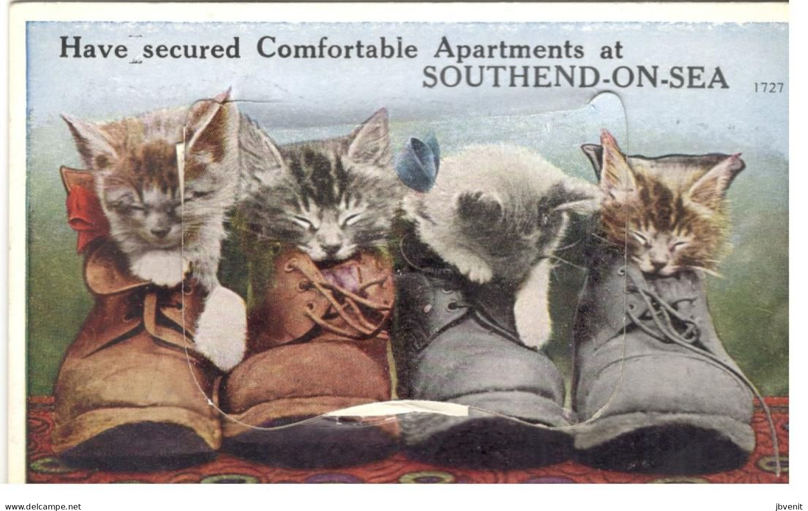 SOUTHEND ON SEA (ESSEX) - Have Secured Comfortable Apartments With 4 Cats - Leporello - Southend, Westcliff & Leigh