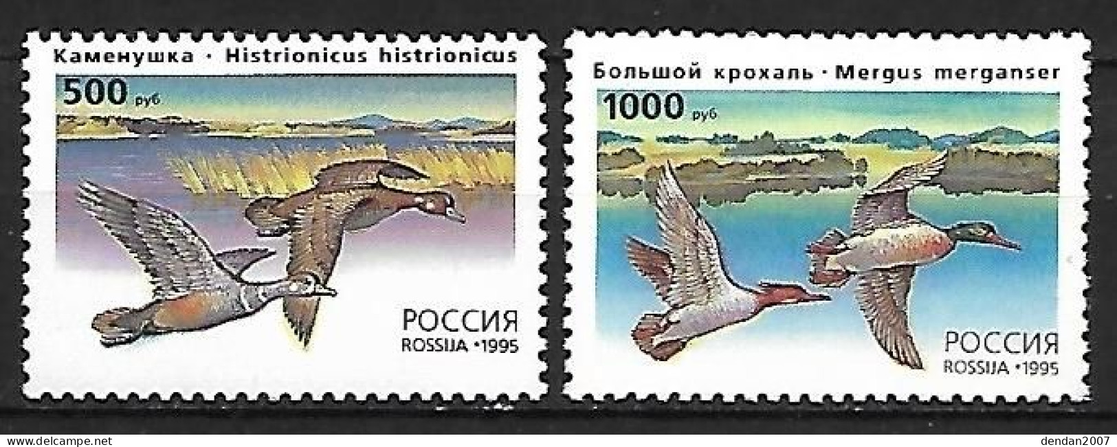 Russia CCCP - MNH** Set 2/3 : Harlequin Duck -   Histrionicus Histrionicus +  Common Merganser  -  Mergus Merganser - Anatre