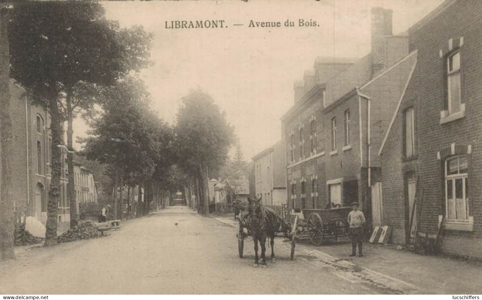 Libramont - Avenue Du Bois - Attelage - Animée - 2 Scans - Libramont-Chevigny