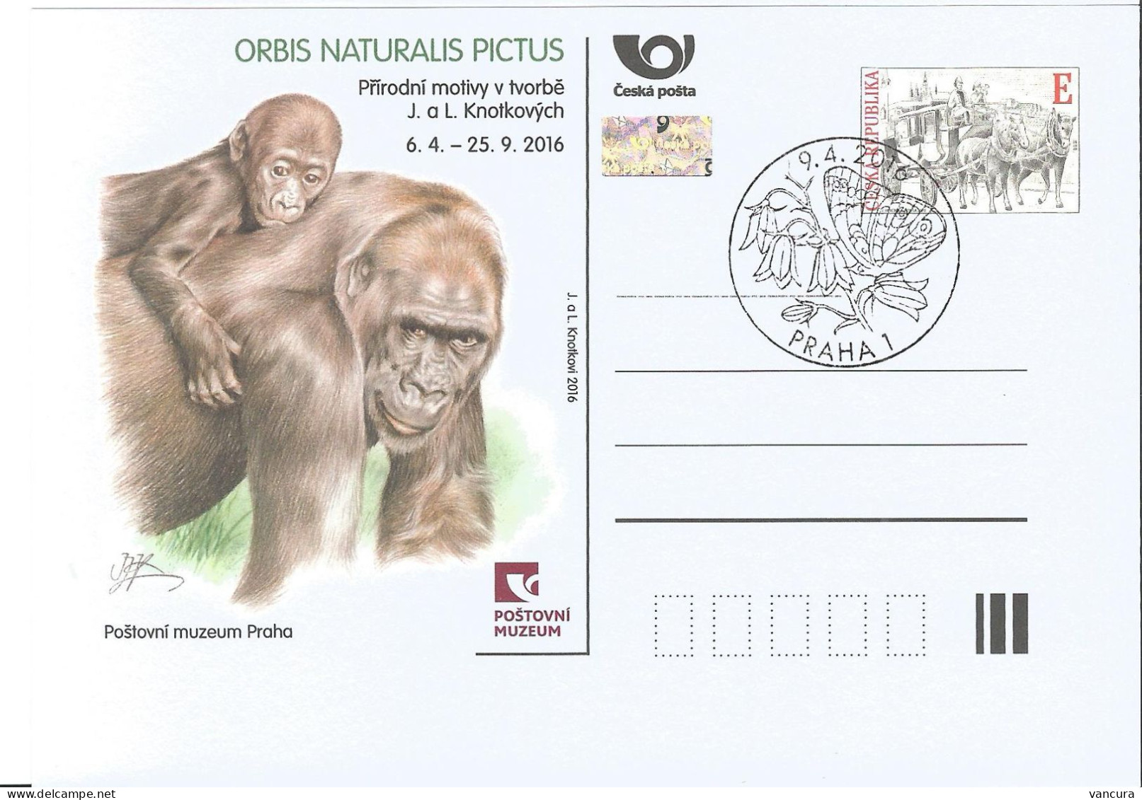 CDV PM 109 Czech Republic Exhibition In Post Museum - Knoteks 2016 Gorilla Butterfly Cancel - Gorillas